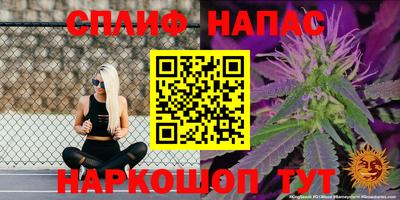 СК Жуковский