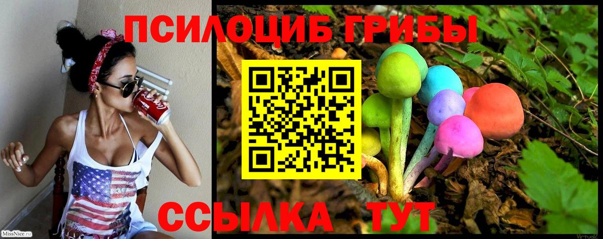 Галлюциногенные грибы мицелий  Псилоцибиновые грибы мухоморы  Биробиджан  Вход с VPN 