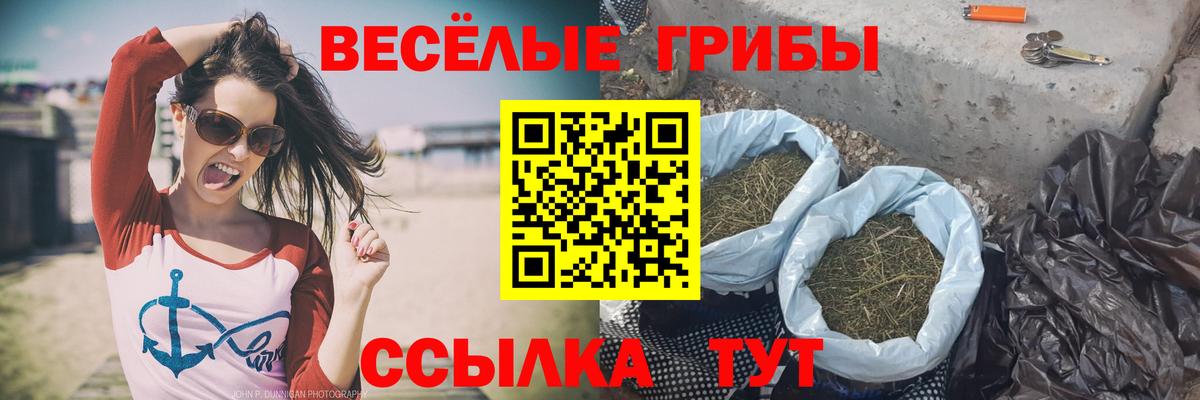 Галлюциногенные грибы GOLDEN TEACHER Биробиджан